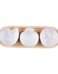Shell Dip & Tray Set